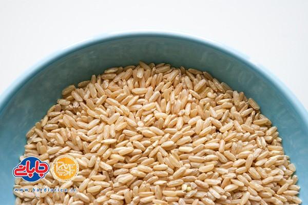 تمام چیزی که درباره برنج قهوه ای باید بدانید - برنج کامفیروزی بردیا